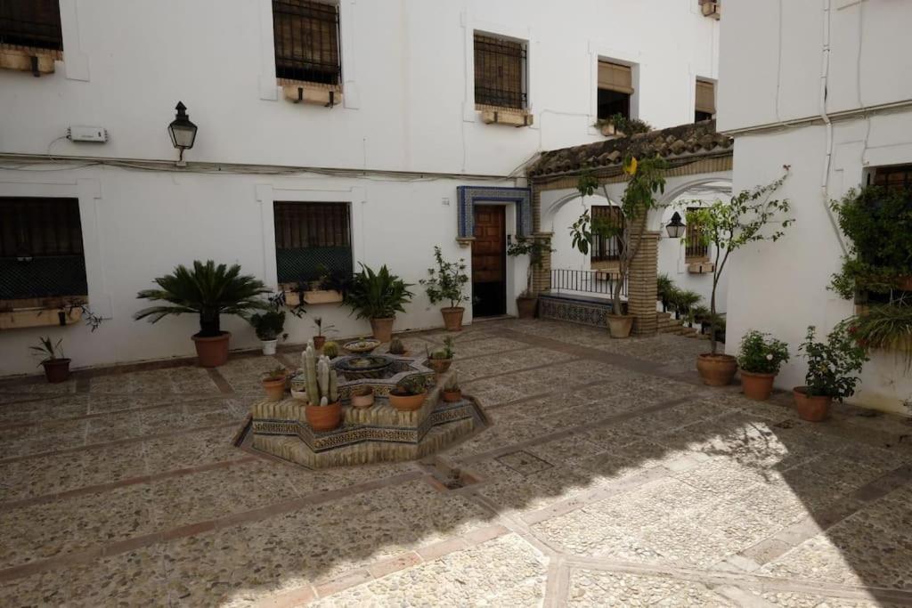 Medina Paradise Córdova Exterior foto
